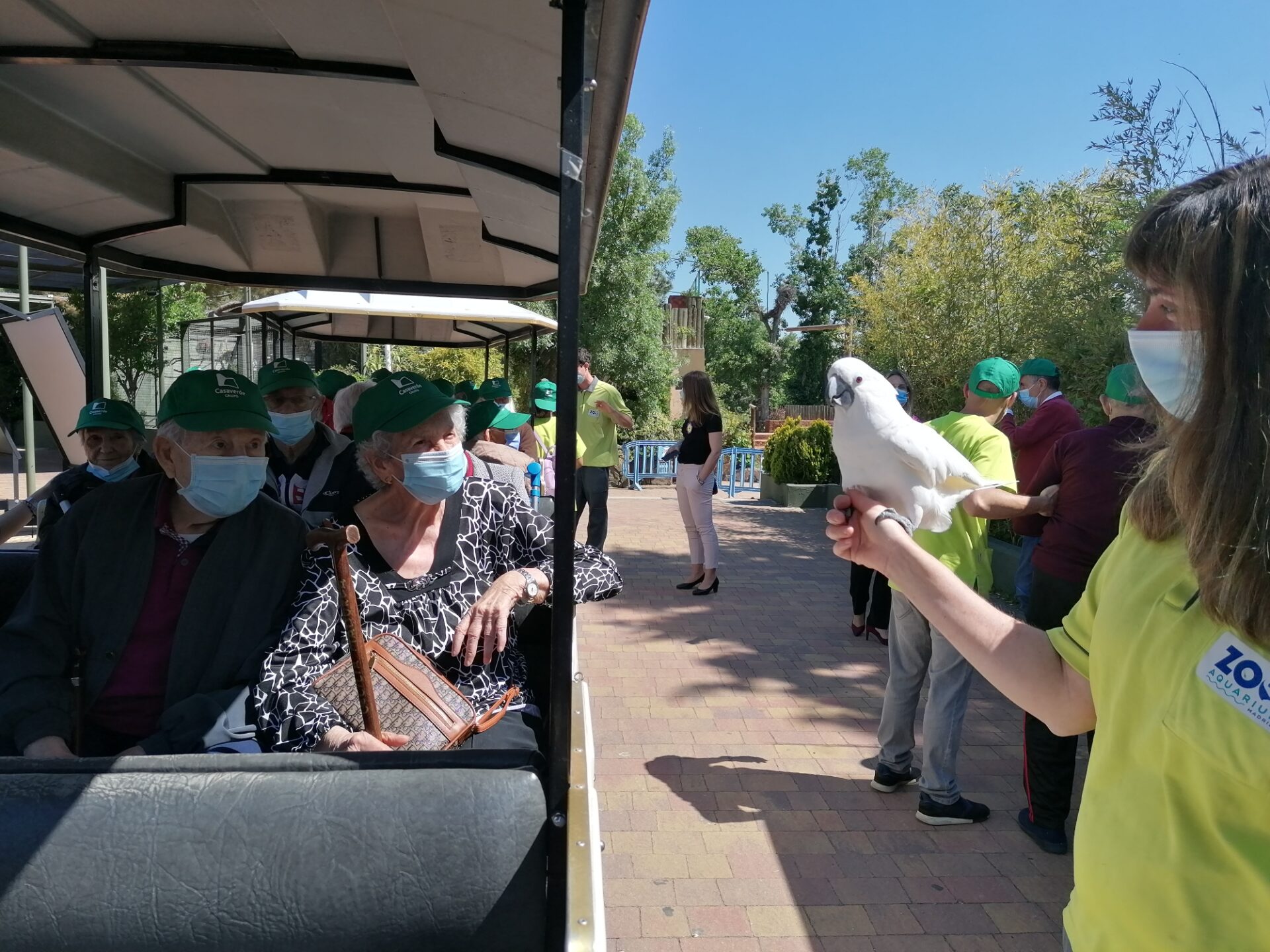 Primera salida de nuestros residentes al ZOO de Madrid