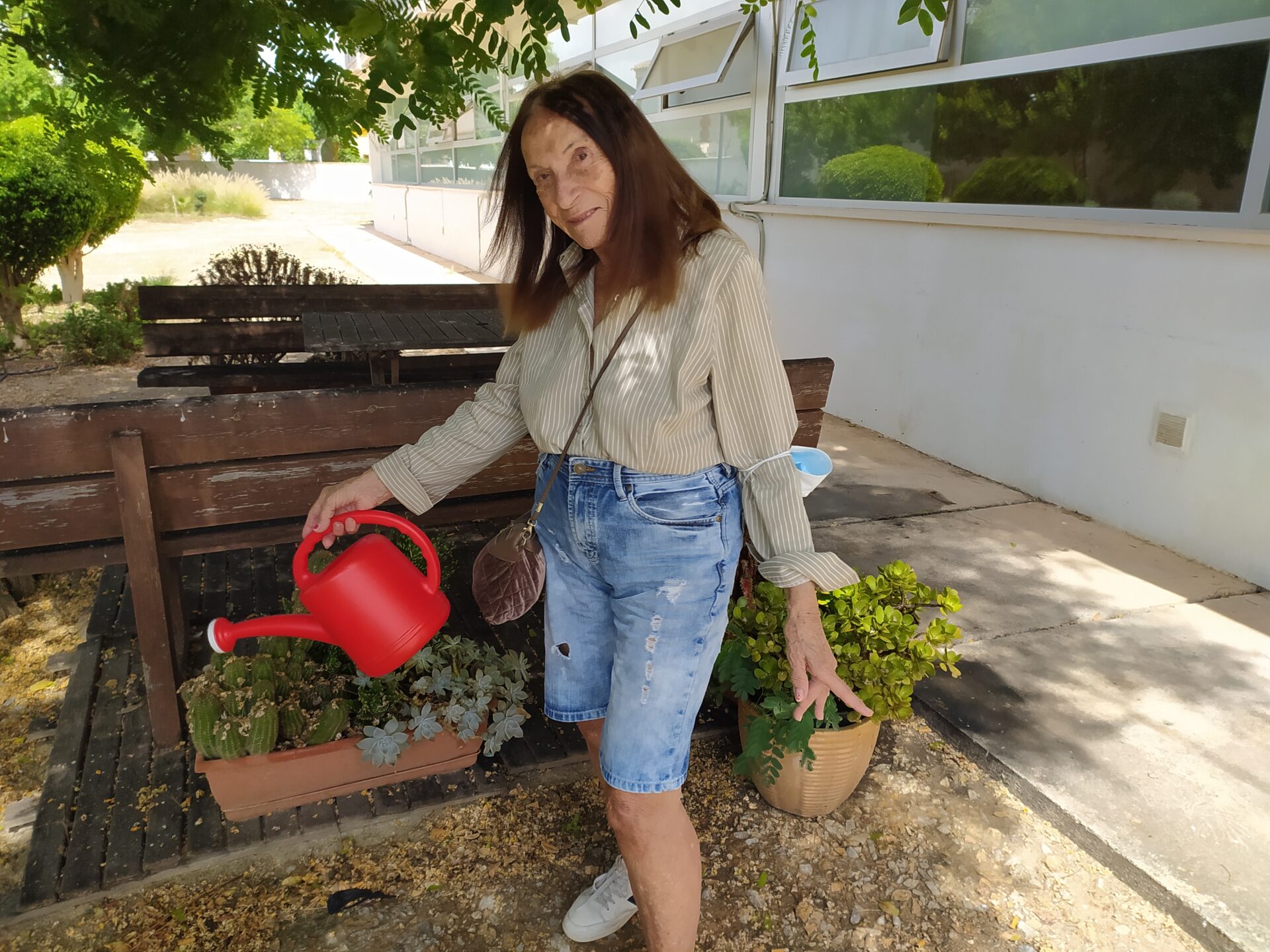 Beneficios de la jardinería como entorno terapéutico en las residencias de mayores