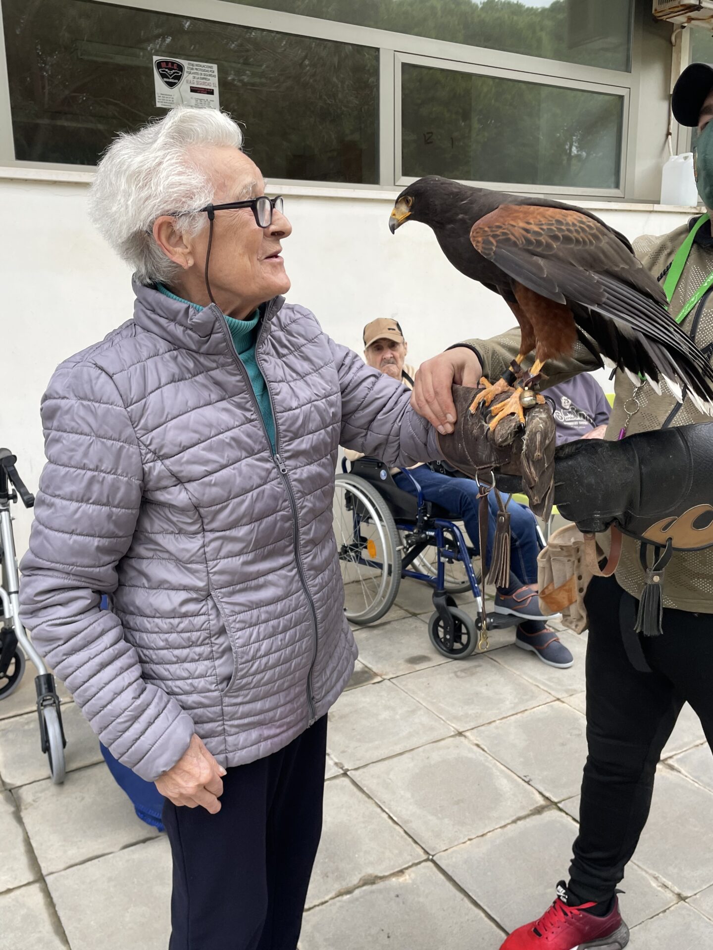 Exhibición canina y vuelo de águilas