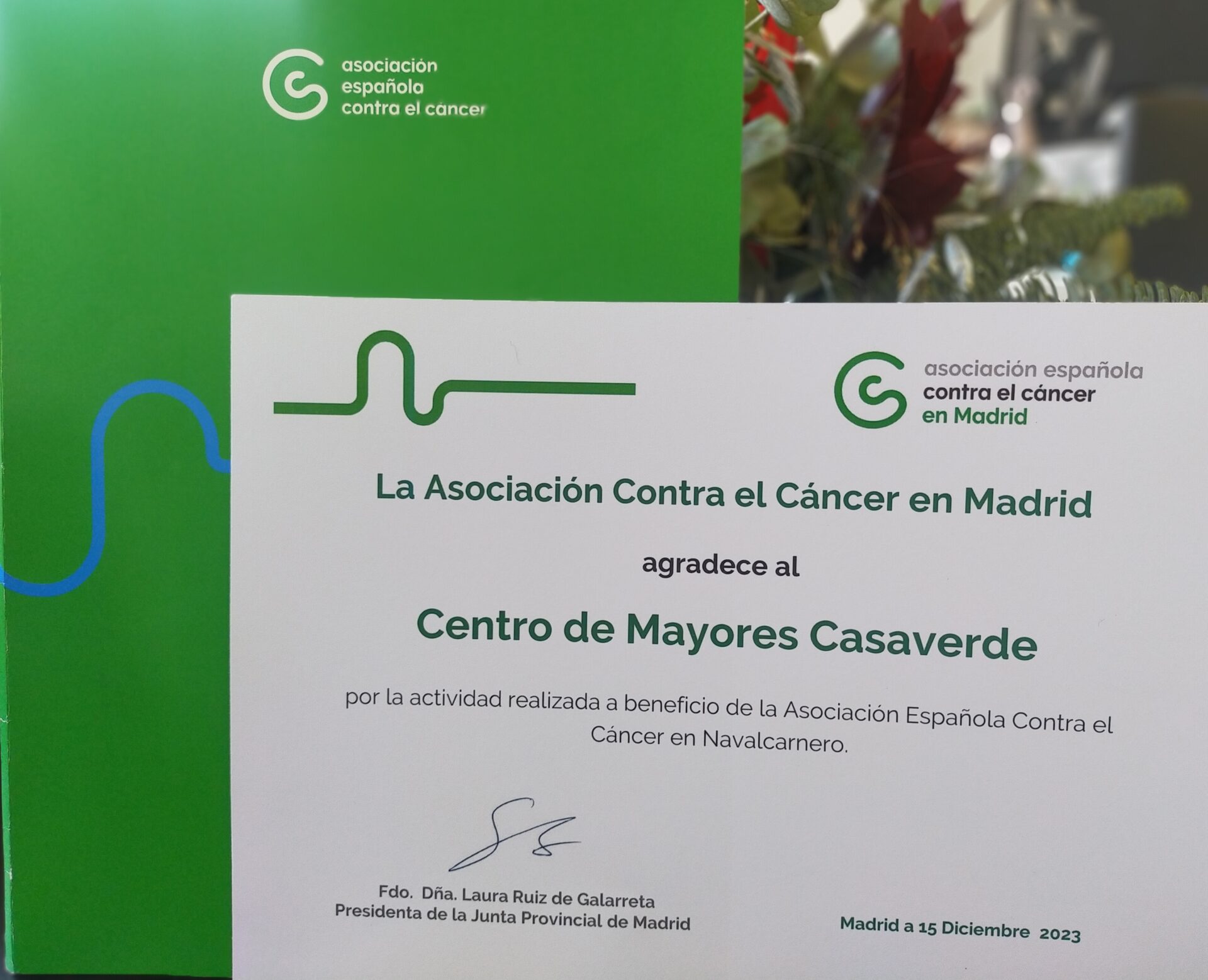 “Taller de Fofuchas” que nuestro Centro Casaverde Navalcarnero junto a la Asociación Española con Contra el Cáncer.